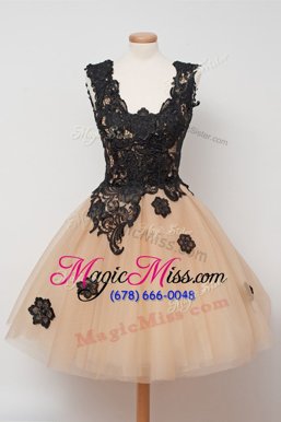 Deluxe Square Sleeveless Tulle Party Dress Appliques Zipper