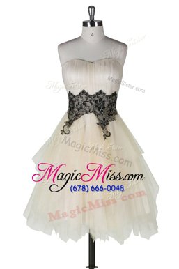 Super Knee Length Champagne Homecoming Dress Tulle Sleeveless Appliques