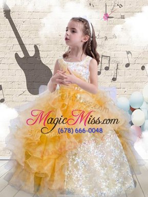 Excellent Ball Gowns Little Girls Pageant Dress Orange Scoop Organza Sleeveless Floor Length Lace Up