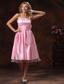Baby Pink Spaghetti Straps Lovely Prom Dress With Sash Tea-length In Anaco