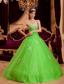 Spring Green A-line / Princess Strapless Floor-length Appliques Tulle Quinceanera Dress