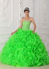 Spring Green Ball Gown Strapless Organza Beading 2014 Spring Quinceanera Dress with Ruffles