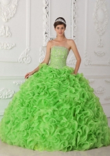 Organza Spring Green Ball Gown Strapless Quinceanera Ball Gowns  with Beading