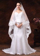 Tulle With Lace Applique Edge Graceful Wedding Veil