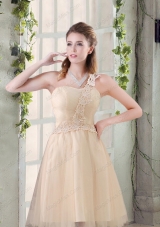 Popular A Line Appliques Prom Dresses with One Shoulder