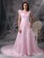 Baby Pink Princess V-neck Floor-length Chiffon Appliques and Ruch Prom / Celebrity Dress