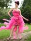 Hot Pink Column Sweetheart High-low Organza Beading Prom / Homecoming Dress