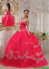 Exquisite Ball Gown Sweetheart Appliques Quinceanera Dresses