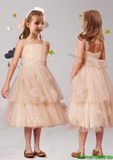 Wonderful Straps Champagne Mini Quinceanera Dress with Appliques and Ruffled Layers