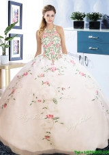 Gorgeous Really Puffy See Through Embroideried Bodice Quinceanera Dress in Organza