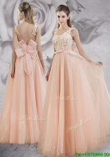 2017 Pretty Applique Decorated Bodice A Line Long Prom Dress in Baby Pink