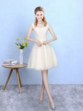 Beautiful Champagne Sleeveless Lace Knee Length Quinceanera Court of Honor Dress