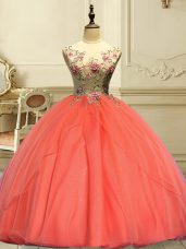 Fantastic Organza Sleeveless Floor Length Quinceanera Gown and Appliques
