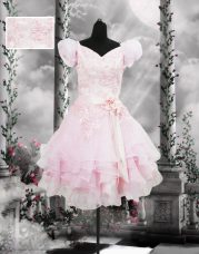 Baby Pink A-line Organza V-neck Short Sleeves Beading and Appliques and Ruffles and Hand Made Flower Knee Length Lace Up Prom Dress