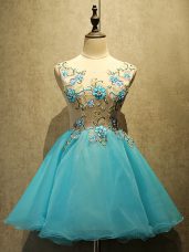 Mini Length Aqua Blue Prom Evening Gown Organza Sleeveless Embroidery