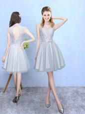Elegant Silver Empire Lace Court Dresses for Sweet 16 Lace Up Tulle Sleeveless Knee Length