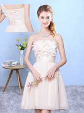 Sleeveless Appliques Lace Up Quinceanera Court Dresses