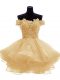Sophisticated Mini Length Zipper Gold for Prom with Lace and Appliques and Ruffles