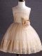 New Style Champagne Sleeveless Tulle Zipper Girls Pageant Dresses
