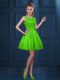 Great A-line Lace and Ruffled Layers Dama Dress Zipper Tulle Sleeveless Knee Length