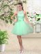 Apple Green Sleeveless Tulle Lace Up Dama Dress for Prom and Party