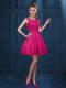 Sweet Hot Pink Wedding Guest Dresses Prom and Party with Lace and Ruffled Layers Scoop Sleeveless Zipper