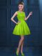 Vintage Tulle Scoop Sleeveless Zipper Lace and Ruffled Layers Quinceanera Court Dresses in Green