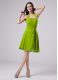 Sweet Knee Length Zipper Mother Of The Bride Dress Green for Prom and Party with Ruching