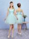 Aqua Blue A-line Straps Sleeveless Tulle Mini Length Lace Up Appliques Wedding Guest Dresses