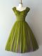 High Class Knee Length A-line Cap Sleeves Olive Green Dama Dress for Quinceanera Lace Up