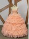 Beauteous Sweetheart Sleeveless Sweep Train Lace Up Quinceanera Gowns Peach Organza