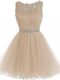 Flare Champagne Sleeveless Tulle Zipper Winning Pageant Gowns for Prom and Party and Sweet 16