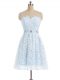 Light Blue Sleeveless Lace Zipper Prom Gown for Prom and Party and Sweet 16