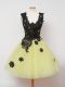 Discount Yellow Zipper Straps Lace Dama Dress for Quinceanera Tulle Sleeveless