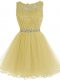 Light Yellow Sleeveless Tulle Zipper Prom Evening Gown for Prom and Party and Sweet 16