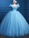 Baby Blue Ball Gowns Appliques Sweet 16 Dress Zipper Tulle Sleeveless Floor Length