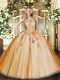 Tulle Sleeveless Floor Length Sweet 16 Dress and Lace and Appliques