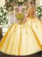 Smart Gold Cap Sleeves Tulle Lace Up Vestidos de Quinceanera for Sweet 16 and Quinceanera