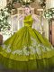 Embroidery Vestidos de Quinceanera Olive Green Clasp Handle Sleeveless Floor Length
