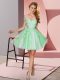 Off The Shoulder Sleeveless Zipper Dama Dress for Quinceanera Apple Green Tulle