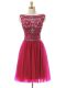 Hot Pink Sleeveless Tulle Zipper Prom Dresses for Prom and Party