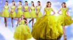 Nice Sleeveless Beading and Ruffles Lace Up Sweet 16 Quinceanera Dress