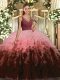 Ball Gowns Sweet 16 Quinceanera Dress Multi-color V-neck Organza Sleeveless Floor Length Backless