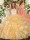 Smart Gold Clasp Handle 15th Birthday Dress Lace and Ruffles Sleeveless Floor Length