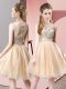 Fancy Champagne Sleeveless Tulle Zipper Prom Gown for Prom and Party