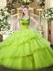 Sleeveless Beading and Pick Ups Side Zipper Quince Ball Gowns