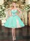 Apple Green Sleeveless Tulle Lace Up Homecoming Dress for Prom and Party
