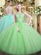 Flirting Apple Green Ball Gowns Tulle Scoop Sleeveless Lace Floor Length Backless Vestidos de Quinceanera
