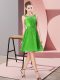 Green Scoop Zipper Appliques Dama Dress for Quinceanera Sleeveless