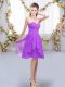 Decent Empire Court Dresses for Sweet 16 Lavender Sweetheart Chiffon Sleeveless Knee Length Lace Up